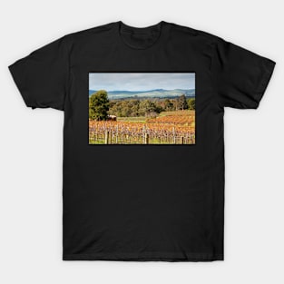 Autumn Vines of the Barossa T-Shirt